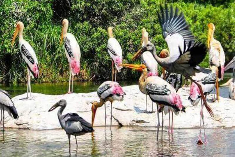 Eagle Mountain resort Munnar